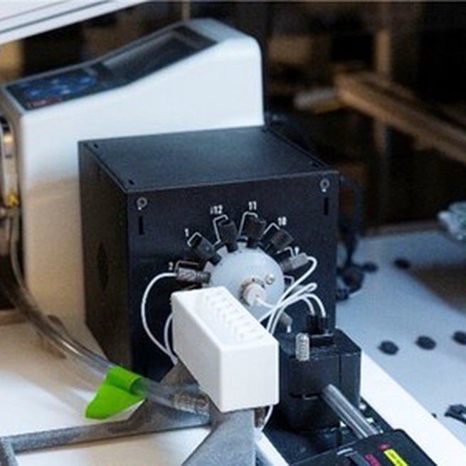 Transfer Learning for Raman Spectroscopy: My Approach to the DIG-4-BIO Challenge